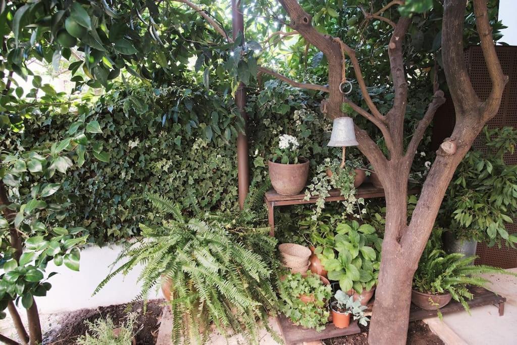 La Casa Del Jardin Villa Candeleda Eksteriør billede