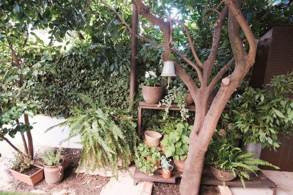 La Casa Del Jardin Villa Candeleda Eksteriør billede